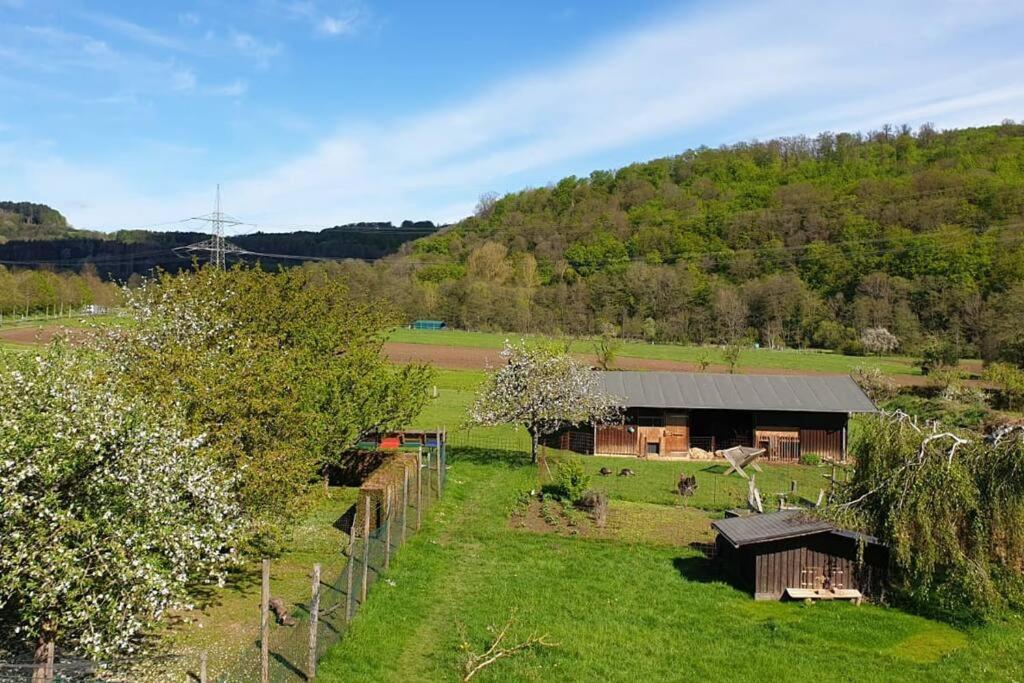 Апартаменты Oma Lina Haus - 4 Sz 2 Baeder Grosser Garten Und Infrarot-sauna Greifenstein