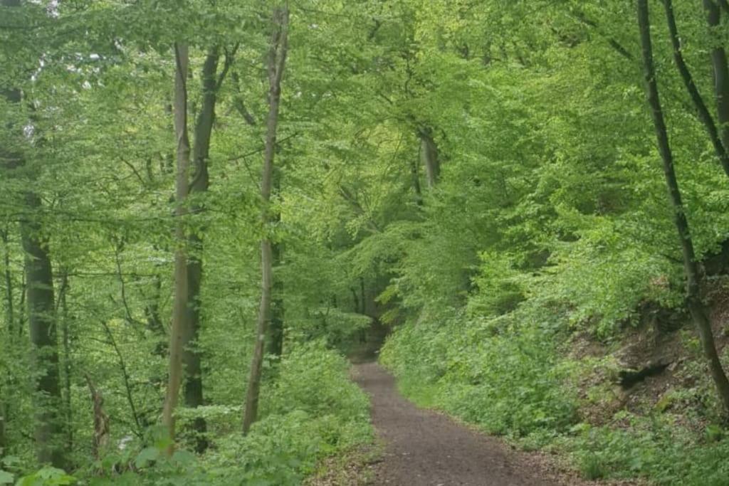 Oma Lina Haus - 4 Sz 2 Baeder Grosser Garten Und Infrarot-sauna Апартаменты Greifenstein